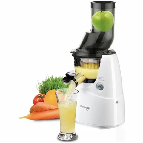 Slow-speed masticating juicer