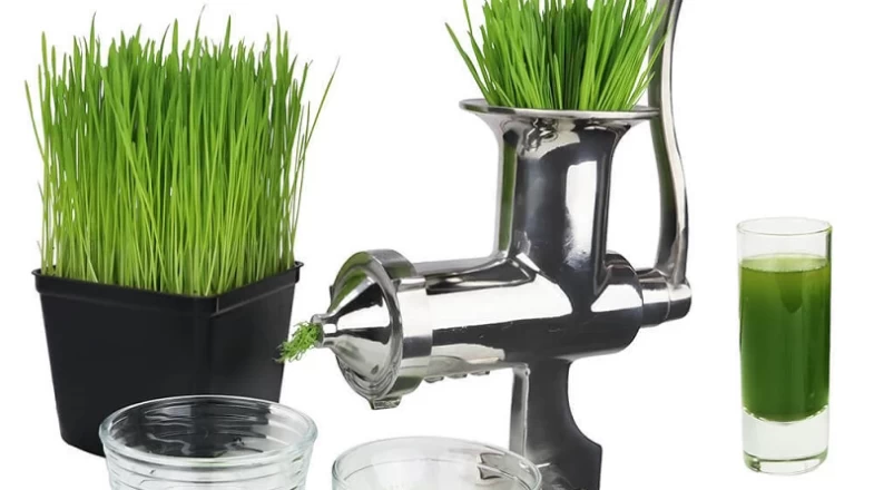 Roots & Harvest Wheatgrass Juicer Banner Photo